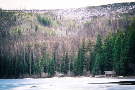 Ranger Cabin on the Lake